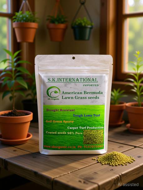 SK ORGANIC American Bermuda lawn Grass Seeds Imported Fast Germination Seed