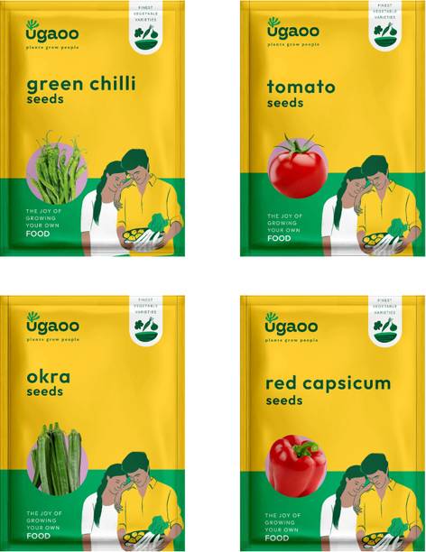 UGAOO Vegetable Seedss Green chilli, Tomato Seeds, Okra seeds, Red Capsium Seeds Seed