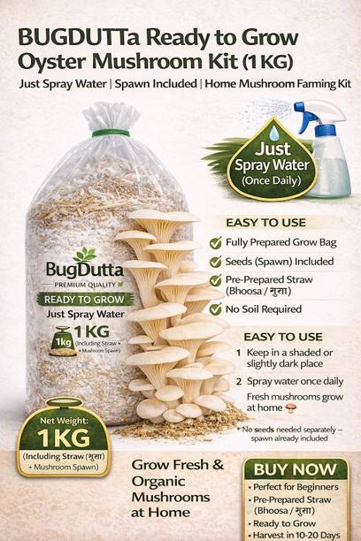 Dutta Ready to Grow Mushroom Growing Bag (1KG) – Only Daily Water Spray Needed Seed