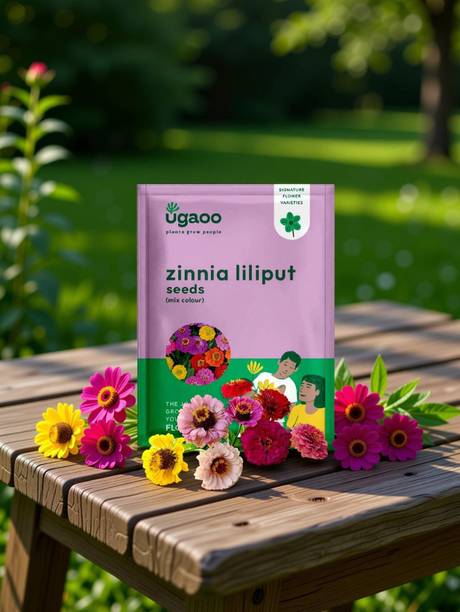 UGAOO Zinnia Lilliput Flower Seed