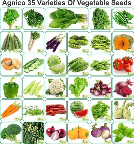 Agnico Agnico 35 Varieties of Vegetable Seeds 2100+ Germination Seeds For Your Garden With Instruction Manual Seed