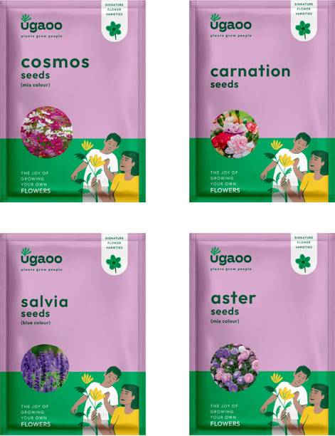 UGAOO Flower Seeds - Cosmos Mix , Carnation, Salvia Blue Seeds, Aster Mix Seed