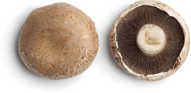 XOLDA Organic mushroom herb Seed