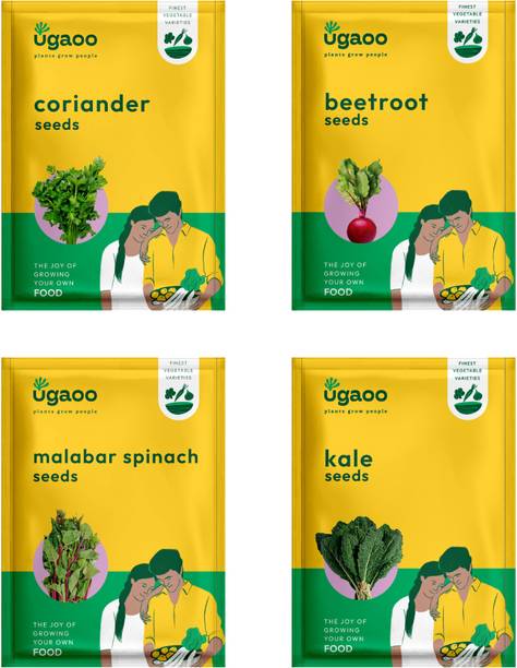 UGAOO Vegetable Seeds - Coriander Seeds, Beetroot Seeds, Malabar Spinach, kale seeds Seed