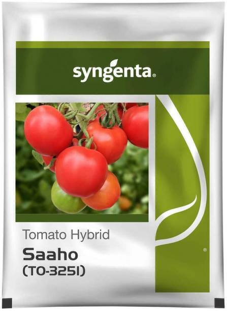 syngenta Tomato Seeds, syngenta Tomato Seeds, hybrid Tomato Seeds Seed