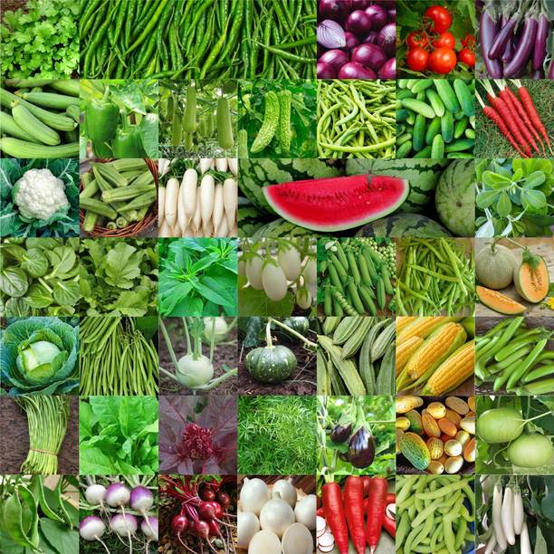 Agnico Agnico 45 Variety Of Vegetable Seeds Combo Pack With Instruction Manual.… Seed