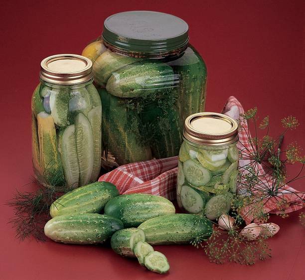 CYBEXIS VXI-70 - Pickling Cucumber - (1350 Seeds) Seed
