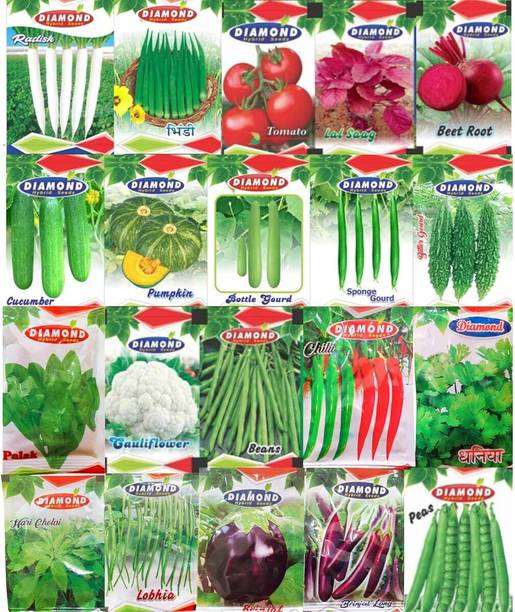 HYBRID Vegetable Seeds Collection, 20 Varieties Pack with 2500+ Seeds Seed
