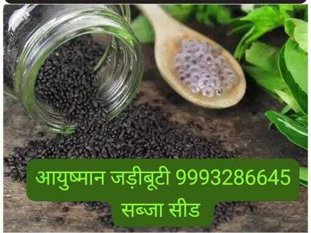 ayushmaan jadibuti original SABJA SEED basil seeds Seed