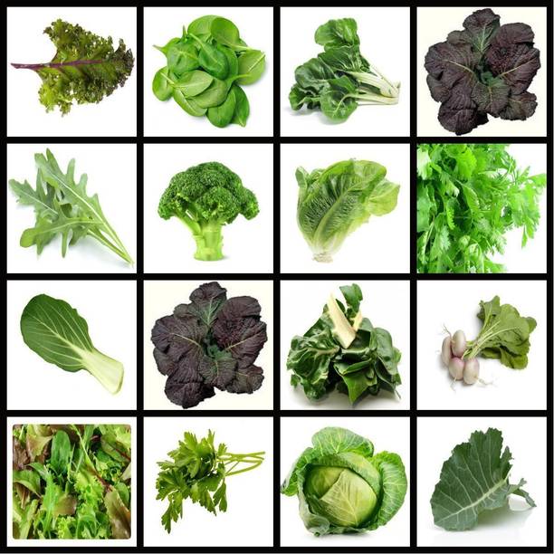 CYBEXIS Grow Green leaf seeds Combo Seed