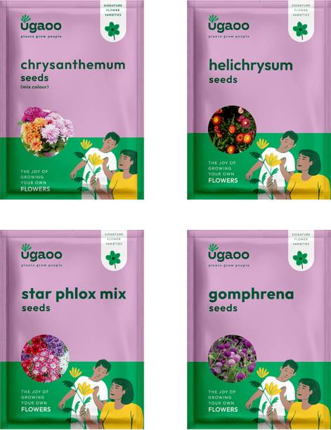 UGAOO Flower Seeds - Chrysanthemum Mix Seeds, Pansy Mix, Coreopsis , Rudbeckia Seed