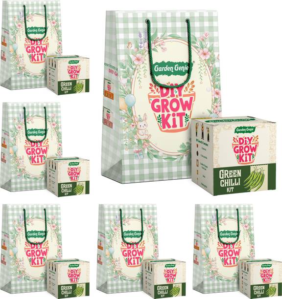 Garden Genie Green Chilli Seed Starter DIY Grow Kit for Gifting Best Eco-Friendl