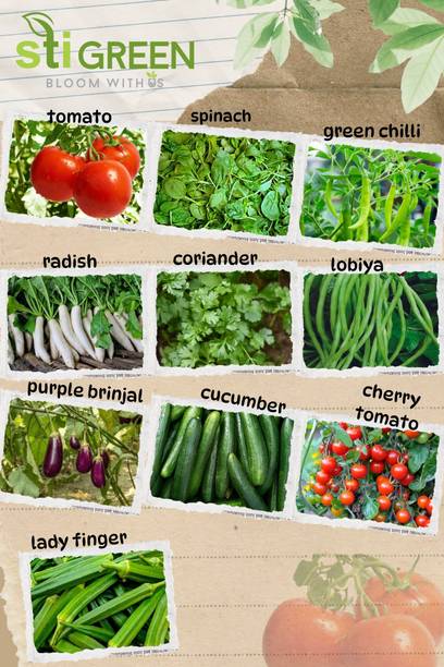 STI ग्रीन वेजिटेबल बीज