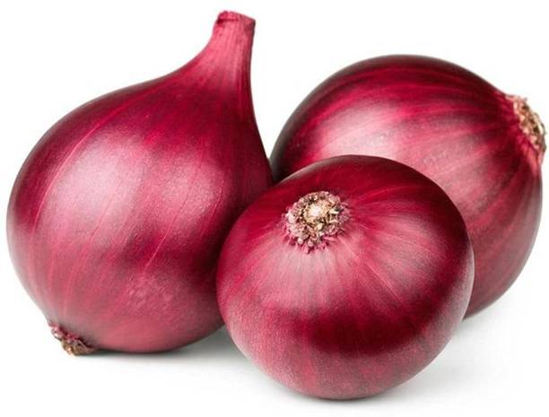 VibeX ® RXI-1180 Onion Red F1 Hybrid Seeds Seed