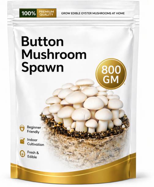 ITU Button Mushroom Spawn/Seed | Easy Home Farming | High Yield Organic Seed
