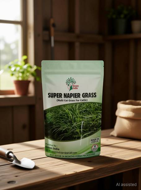 Green India SUPER NAPIER GRASS Seed (100 g) Seed