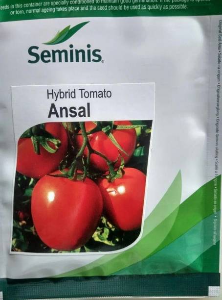 seminis Ansal Hybrid Tomato Seeds – Premium Quality Vegetable, for Farming Seed