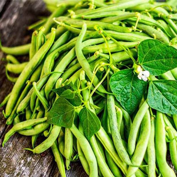 SREE Beans Seeds,Organic Beans Seeds For Home Gardening Seed