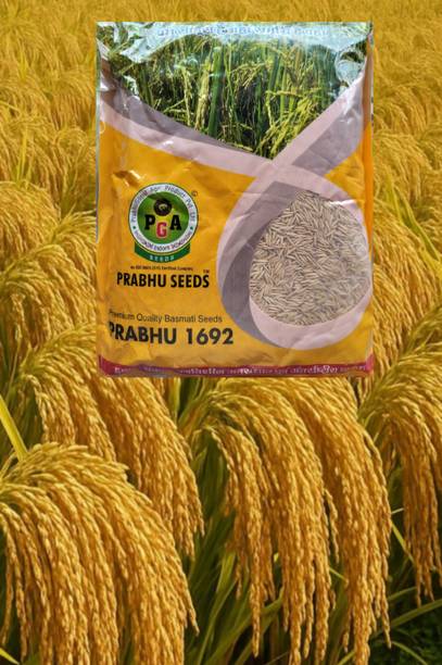 hyb 3kg Prabhu paddy 1692 yield 27-30 quintal/acre Seed