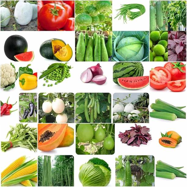 ibains Vegetable seeds combo pack hybrid Seed
