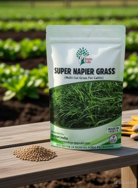 Green India super napier grass seed Seed