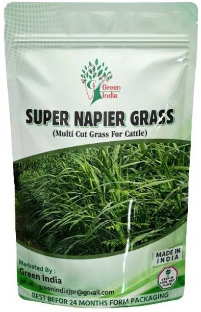 Green India super napier grass seed Seed