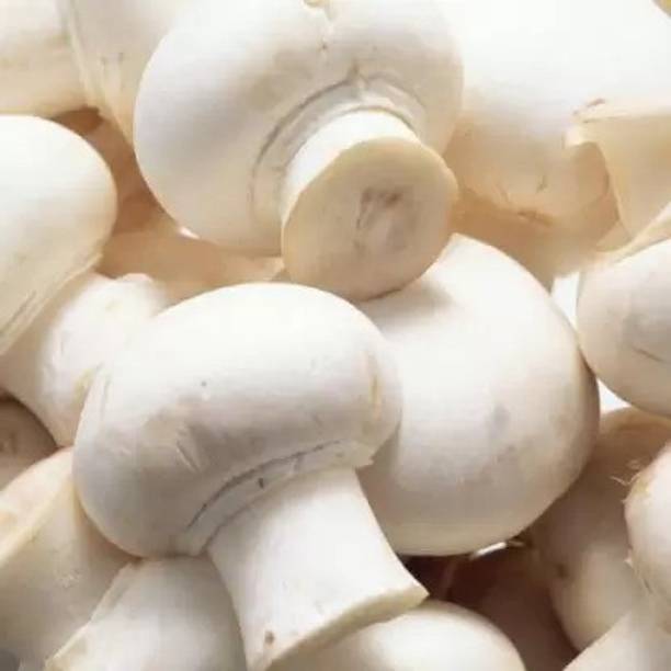 Aro Mushroom Seed