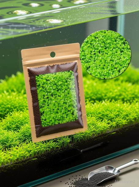 FRESH SEEDS Carpet LIVE Grass Seeds for Aquarium Seed( 210 Seeds ) Seed