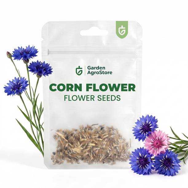 GardenAgro Cornflower, Bachelor's Button, Centaurea Cyanus, Blue Cornflower Seed