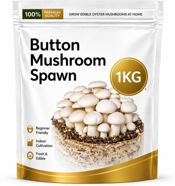 ITU Button Mushroom Spawn/Seed | Easy Home Farming | High Yield Organic Seed