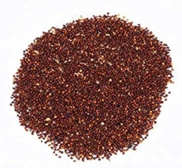 SAFRONI Beej Tulsi - Tulsi Manjari - Tulsi Seed - Shyama Seed