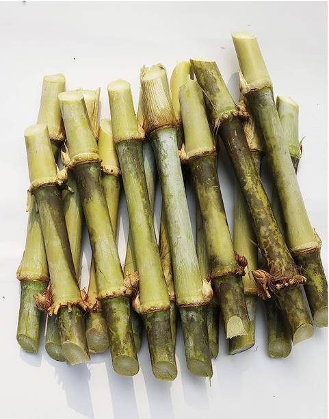Grow Green Organics Super Napier Grass Sticks | Hybrid Napier Grass | Pack of 25 Fresh Super Napier Seed