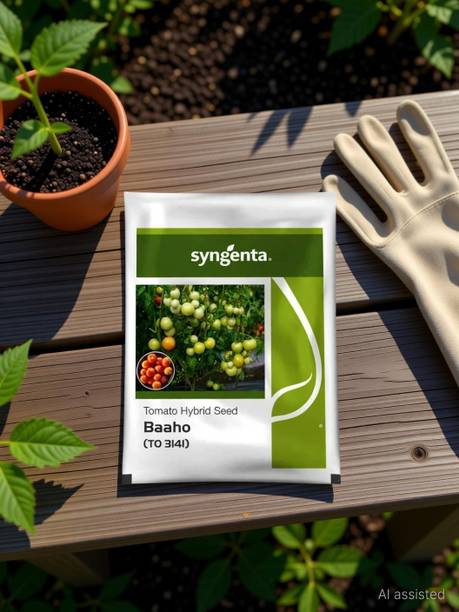 syngenta Baaho tomato seeds, Hybrid Tomato seed, tomato seeds, vagetable seeds Seed