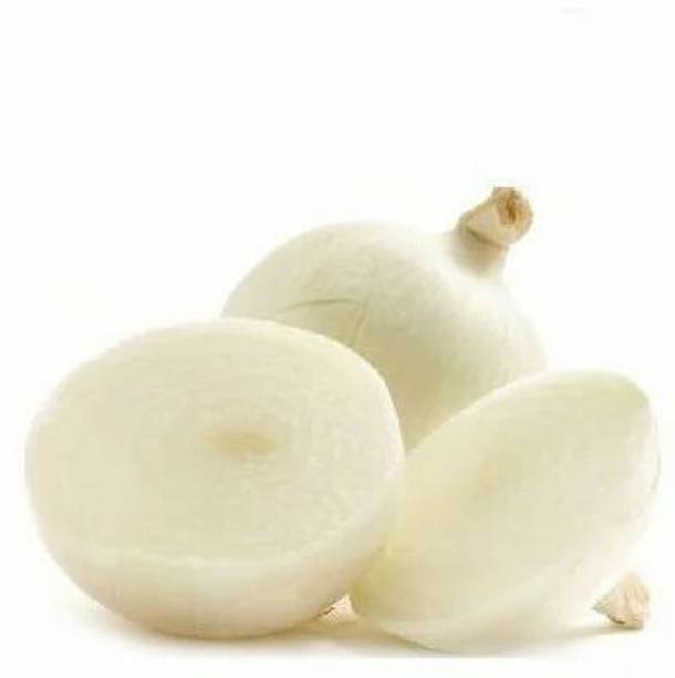 Mozette Organic Onion white Seed