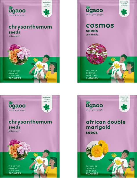 उगाओ फूल के बीज - मैरीगोल्ड अफ्रीकन डबल, पेटुनिया, ज़िननिया डबल मिक्स, विंका बीज