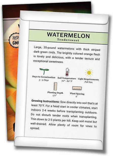 VibeX GBPUT-95 - Orange Watermelon - (1350 Seeds) Seed