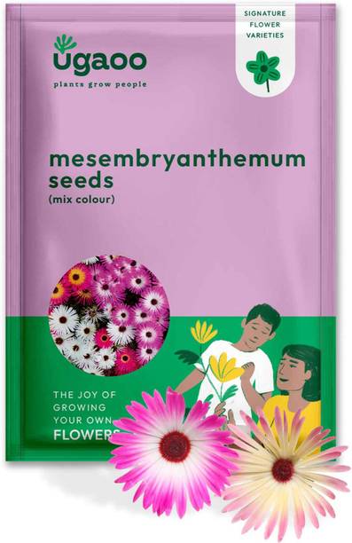 UGAOO Mesembryanthemum Flower Seed