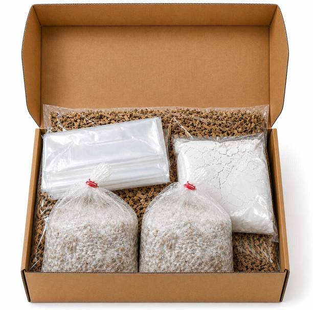 SP AGRO Mushroom Growing Kit Seed