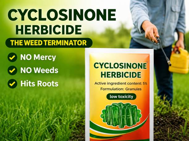 Lakshya granules seed Cycloside plant seed Seed