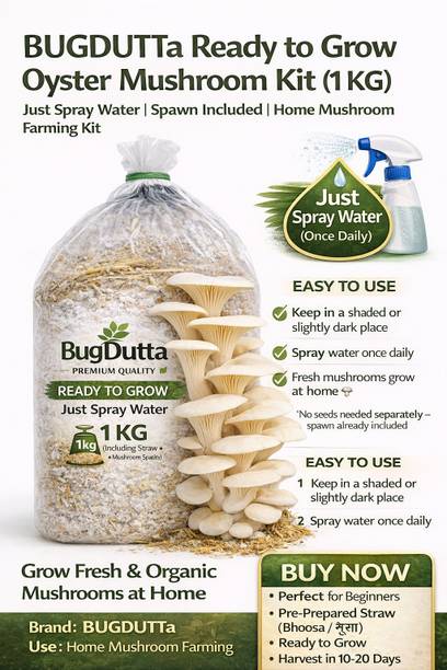 Dutta Easy Grow Mushroom Pack 1KG (Spray Once a Day, Harvest at Home) Seed