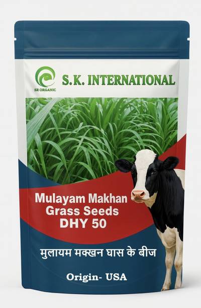 sk ऑर्गेनिक मक्खन ग्रास सीड्स मल्टीकट फोड्डर ग्रास बीज