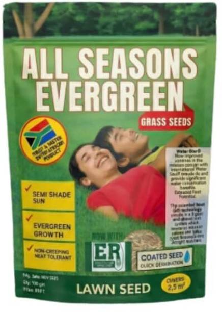 ANMIKA All Seasons Evergreen Grass Seeds 100g | Fast Germination Lawn Grass Seed Seed