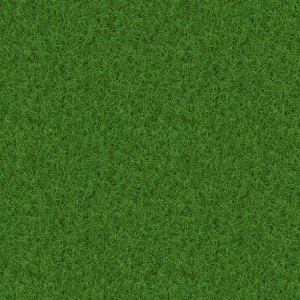 श्री क्रिकेट/पार्क/फुटबॉल एरिया, ग्रास के लिए लॉन ग्रास सीड बीज