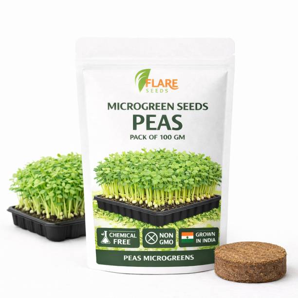 FLARE SEEDS Peas Microgreen Seeds Seed