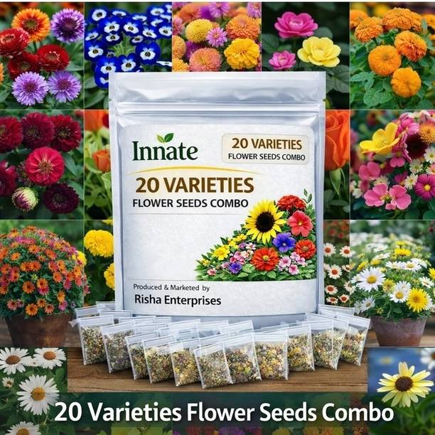 amkdseedshub 20 variety flower seeds combo pack home garden Seed