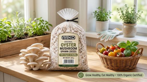 Arko Oyster Mushroom Spawn Grain Seeds – First Generation High Yield White Mycelium Seed
