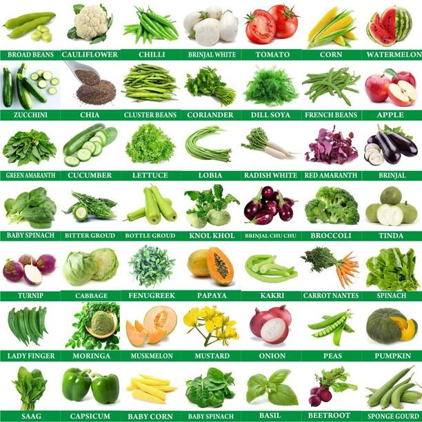 Greenery Hub 50-Vegetable Seeds Combo Seed