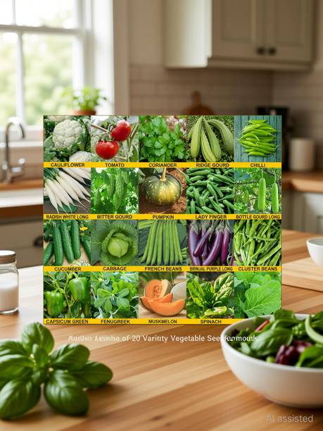Aero Seeds Aero Seeds Combo of 20 Variety Vegetable Seeds Combo Pack Seed