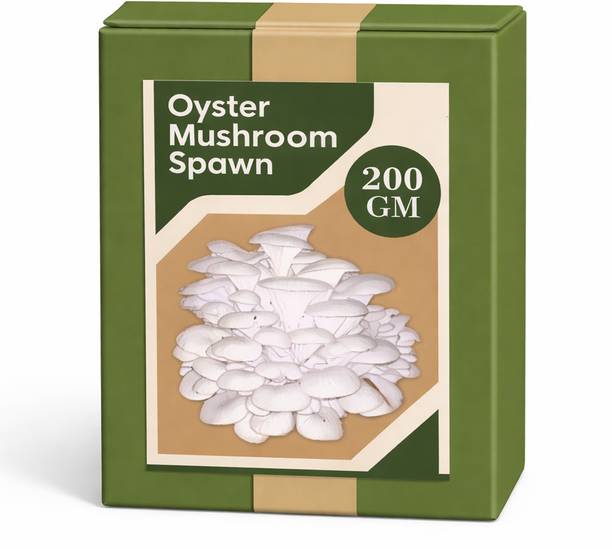 दत्ता ऑयस्टर मशरूम सीड्स (कुंभी / ढिंगरी) (200g) | ग्रो एट होम बीज