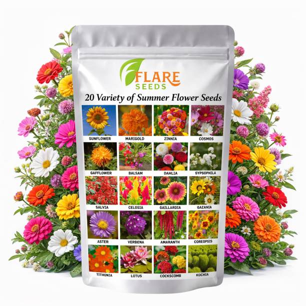 FLARE SEEDS 20 Variety Of Summer Flower Seeds Combo Pack For Home Gardening Seed